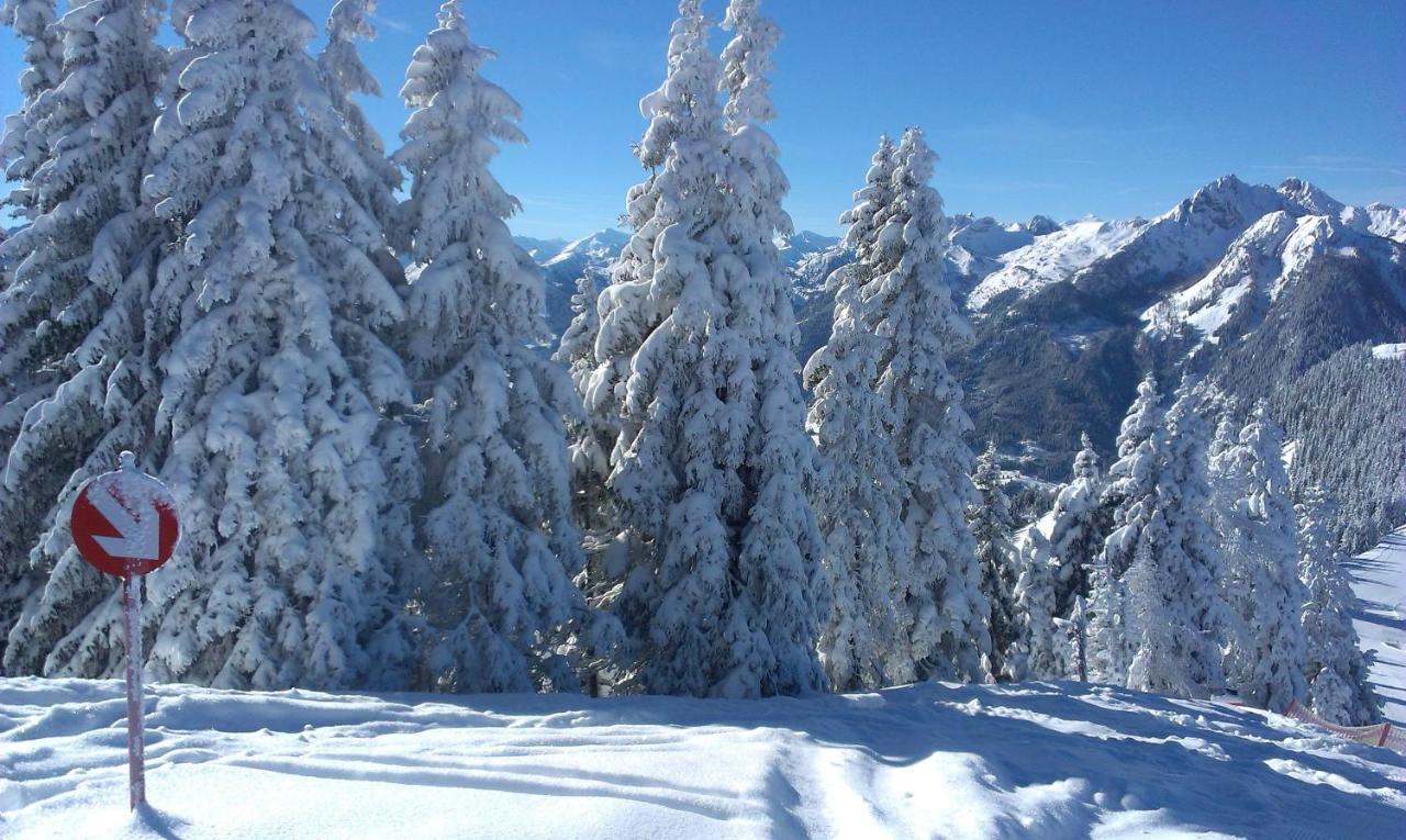 Landhaus Gruber Winter アルペンドルフ エクステリア 写真